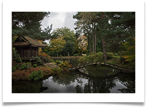 Japanese garden in the autumn - Richard Nicholls